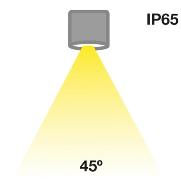 The Light Group SLC MiniOne Fixed LED downlight IP65 černá